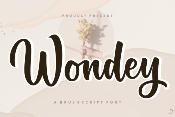 Wondey: A Script Font with Modern Whimsy